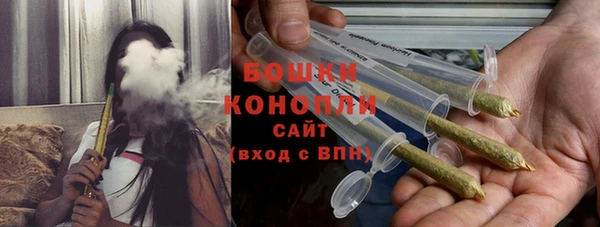гашик Нея