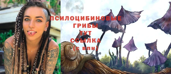 мдма Новодвинск