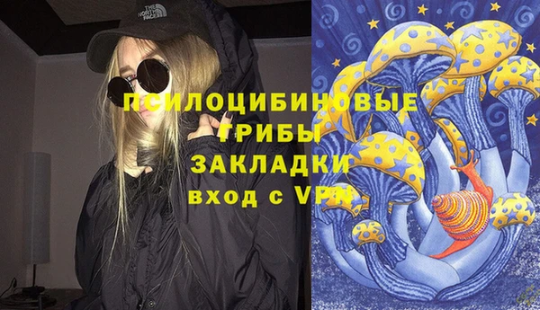 гашик Нея