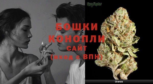 первитин Новозыбков