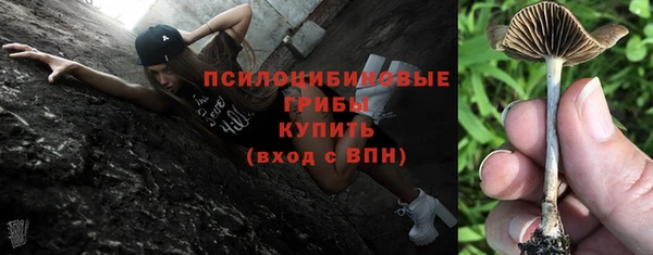 гашик Нея