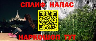 СК Дубна