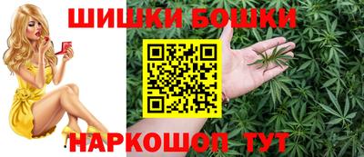 СК Дубна