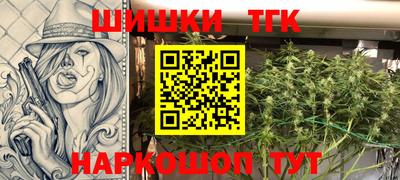 СК Дубна
