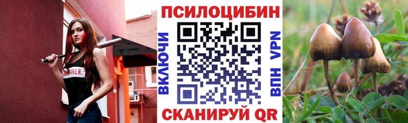OMG вход  Североуральск  Галлюциногенные грибы Cubensis 