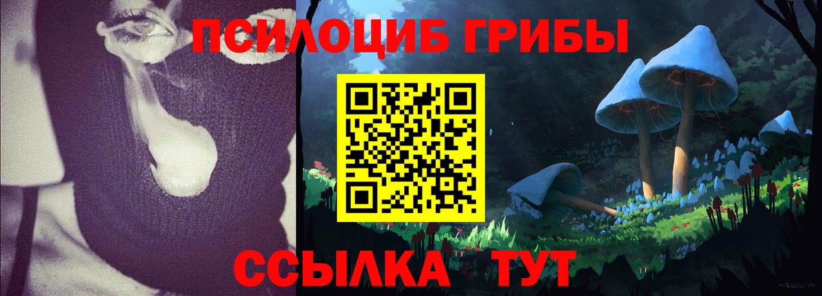 Псилоцибиновые грибы Psilocybine cubensis  Вход с VPN  Североуральск  Галлюциногенные грибы мухоморы 